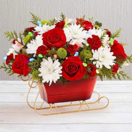 Red roses and white daisies in a red sleigh planter