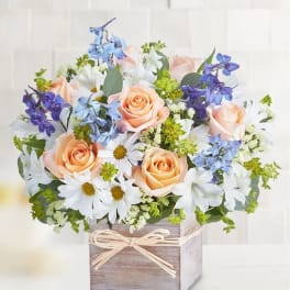 Peach roses and white daisies in a wooden box with blue flowers