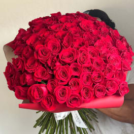 Large bouquet of red roses wrapped in pink paper