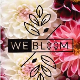 Close-up of white and pink dahlia-like flowers with a Webloom logo overlay