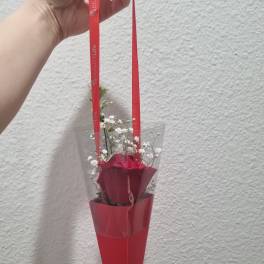 Single red rose in a cone wrap with white baby's breath