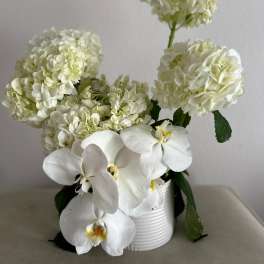 White hydrangeas and white orchids in a ribbed white vase