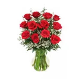 Red Roses & Wispy Whites Classic Dozen Roses