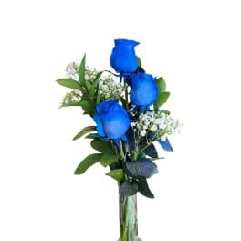 3'S Charm Blue Rose