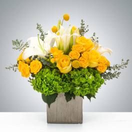 Low arrangement of yellow roses, white lilies, and green hydrangeas in a gray square vase