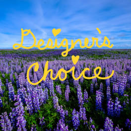 Designer's Choice #2