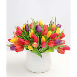 Colorful tulip bouquet in a white vase