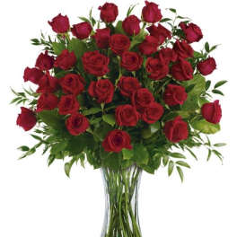 Three Dozen Red Roses (BB)