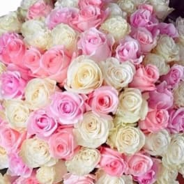 Dense bouquet of pink and white roses