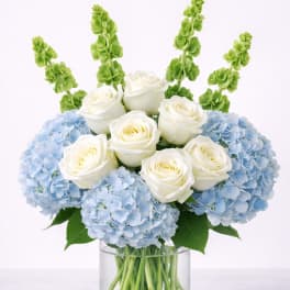 White roses and blue hydrangeas in a clear glass vase with green spikes