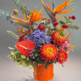 Tropical bouquet with orange bird-of-paradise and dahlias in an orange box