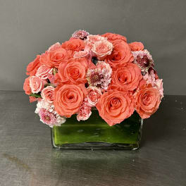 Coral and pink roses arranged in a square glass vase