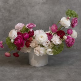 Pink and white ranunculus arrangement in a white vase