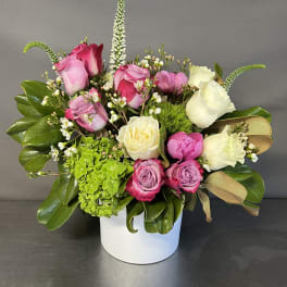 Pink and white roses arranged in a white box with greenery.