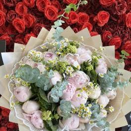 Bouquet of pale pink peonies with small white daisies and eucalyptus
