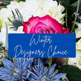 Winter Designers Choice Arrangement