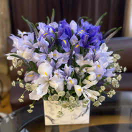 Blue and white iris bouquet in a square vase