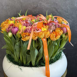 Low white bowl packed with orange, yellow, and pink tulips topped with orange ribbons