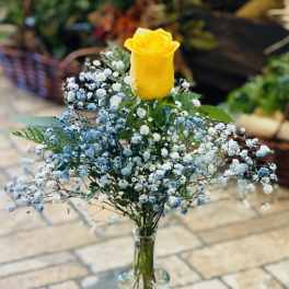 Yellow rose in a glass vase with blue and white baby's breath