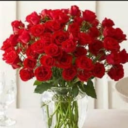 2 Dozen Rose & Red Carnation Extravaganza