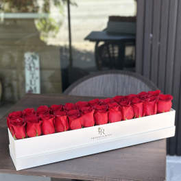 Long white box filled with red roses