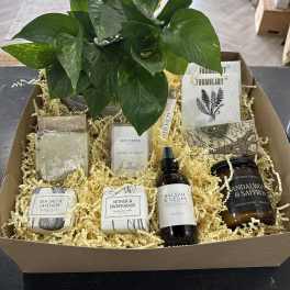 Potted green plant in a gift box with candles and bath items