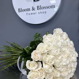 Large bouquet of white roses with dark green foliage