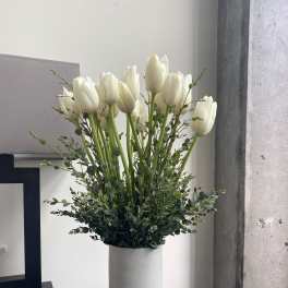 White tulips in a tall white vase with airy greenery