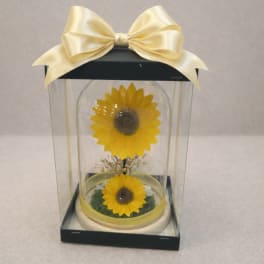 Luxury Sunflower Duo Dome (Height: 9.84 ")