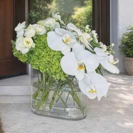 Elegant Orchid & Hydrangea Garden