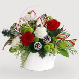 Holiday bouquet with red and white roses in a white container