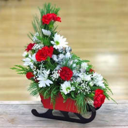 Red and white floral arrangement in a red sleigh container