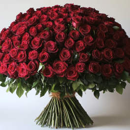 Large dome bouquet of red roses with green foliage
