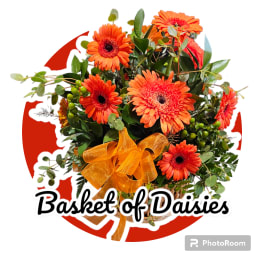 Basket arrangement of orange gerbera daisies with a ribbon bow