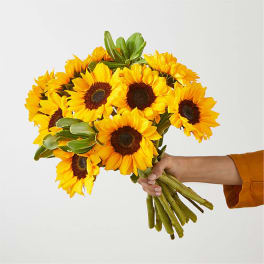 Handheld bouquet of bright yellow sunflowers