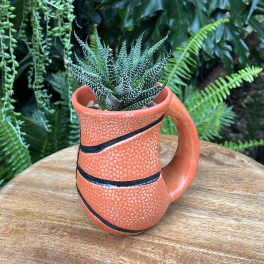 Small spiky succulent planted in an orange ceramic mug on a wooden table