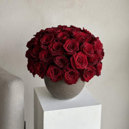 Ruby Radiance: 60 Red Roses in Ceramic Elegance