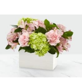 Pink flowers and green hydrangeas arranged in a white box