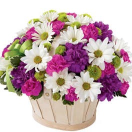 Basket of white daisies, pink and purple carnations, and green button mums