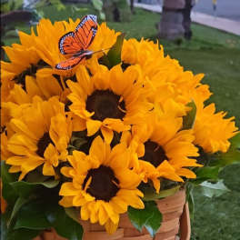 Basket of yellow sunflowers with a butterfly decoration