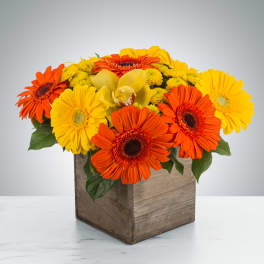 Low arrangement of orange and yellow gerbera daisies in a rustic wooden cube vase