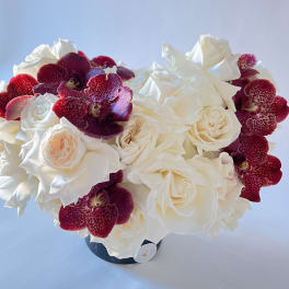 White roses and burgundy orchids arranged in a round bouquet.