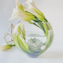 White calla lilies arranged in a clear glass bowl with a succulent