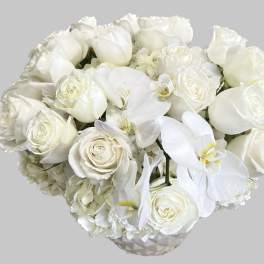 White roses and orchids arranged in a low vase