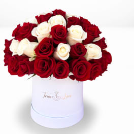 Elegant Red & White Roses