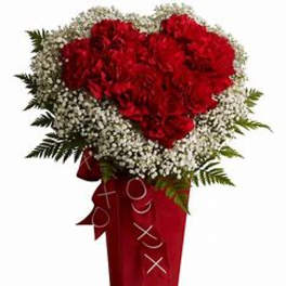 Red carnation arrangement in a tall red vase with white filler flowers