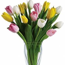 Bouquet of pink, yellow, and white tulips in a clear glass vase