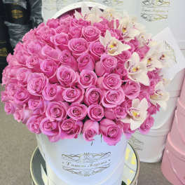 100 Barbie Roses