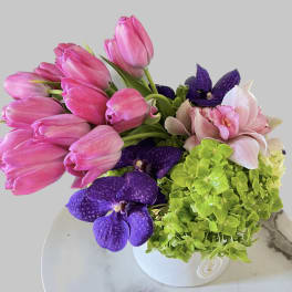Pink tulips, purple orchids, and green hydrangeas in a white vase