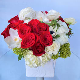 Red and white rose arrangement in a white vase